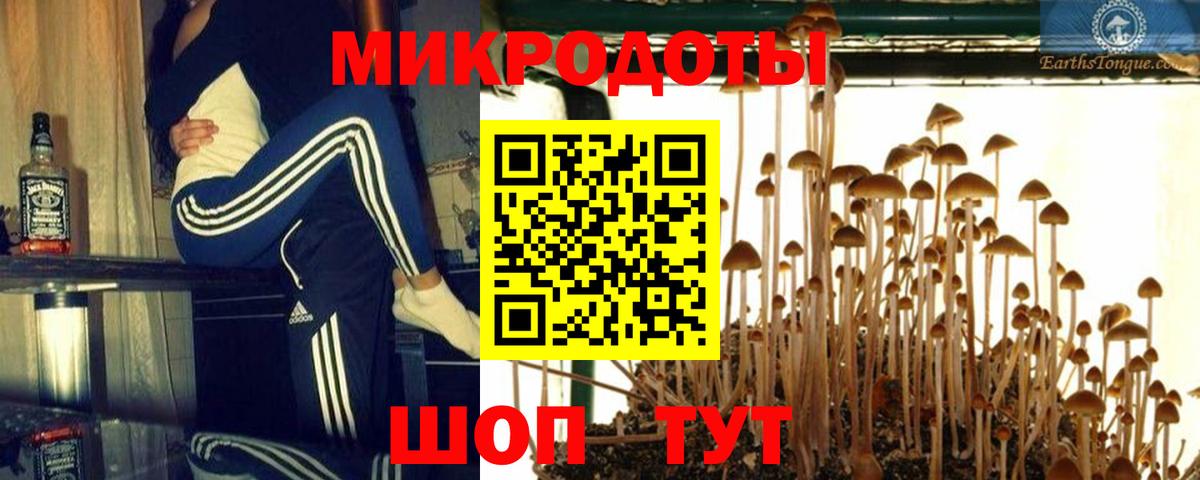 Галлюциногенные грибы мухоморы Энгельс